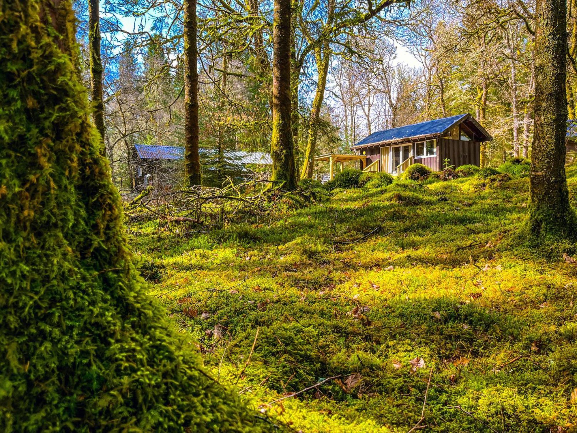 Loch Aweside Forest Cabins Dalavich Szoba fotó
